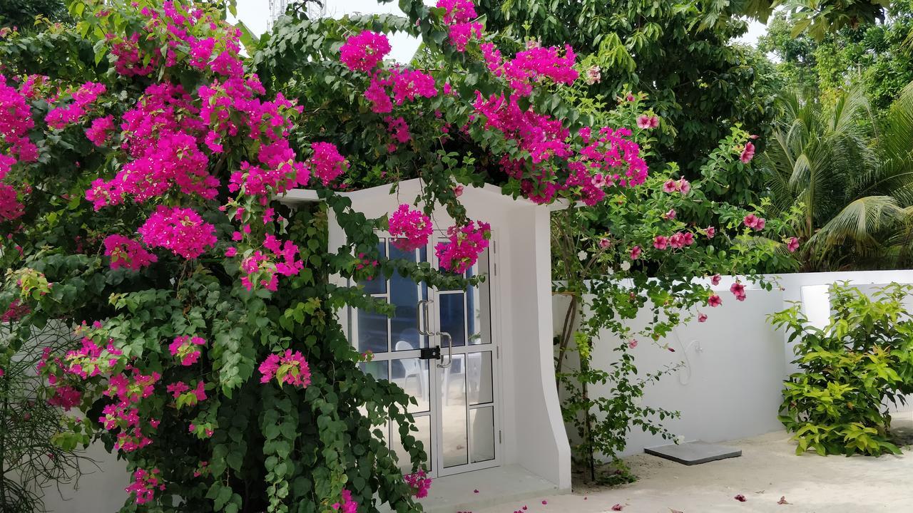 Athiriveli Hotell Thoddoo Exteriör bild